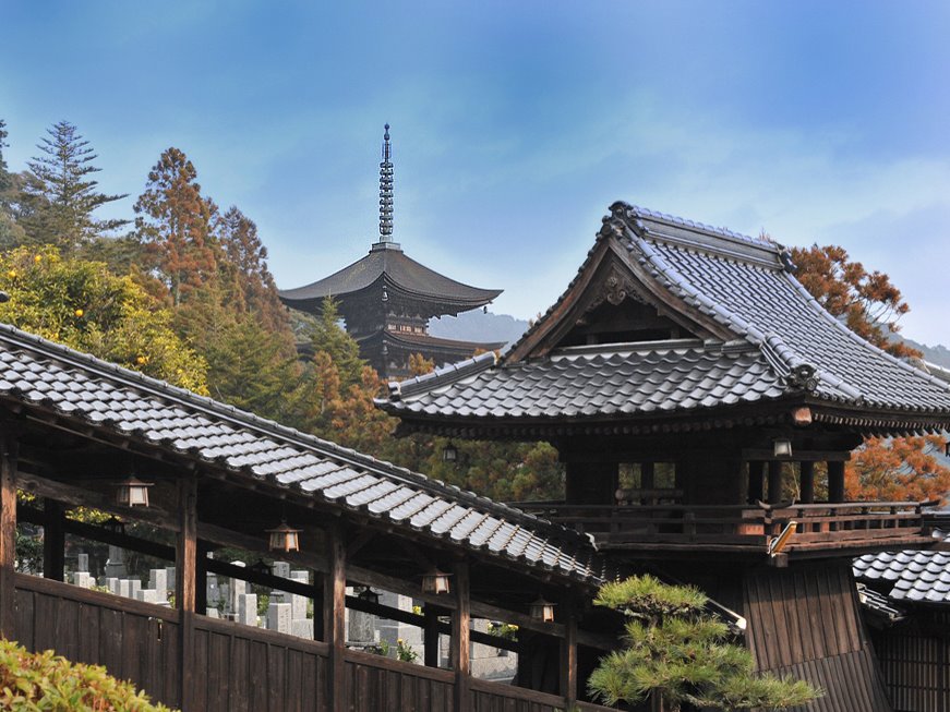 temple rurikou, Онода