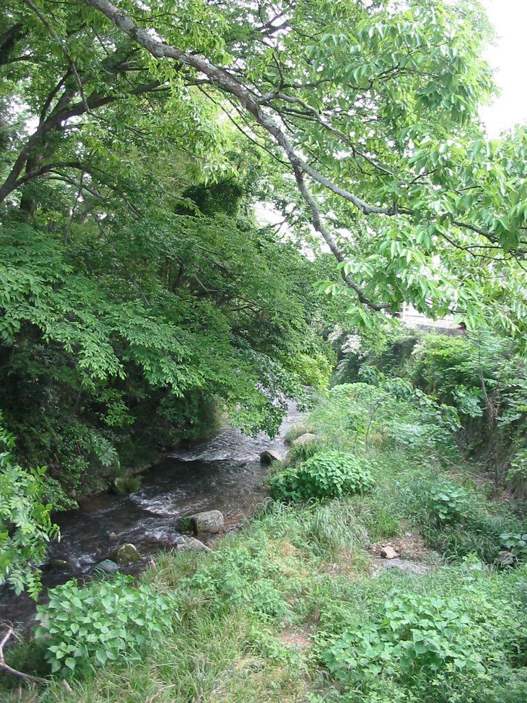 Ichinosaka-gawa river,  一の坂川, Онода