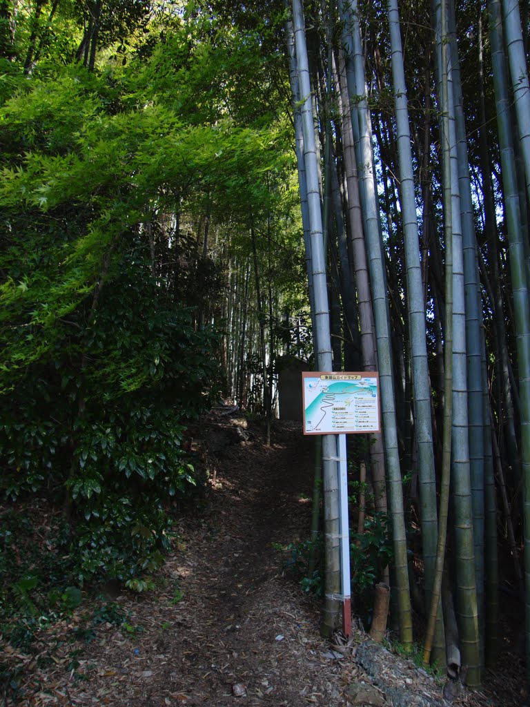厳島神社周辺, Онода