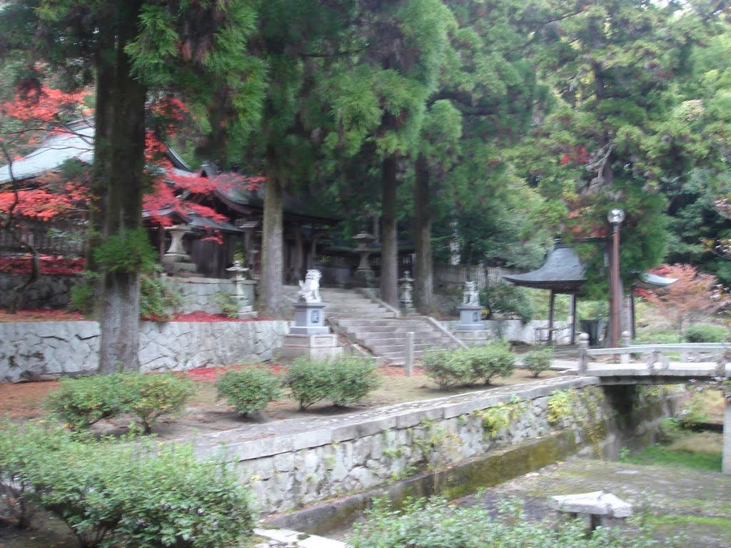 豊栄神社３（Ｆ）, Токуиама