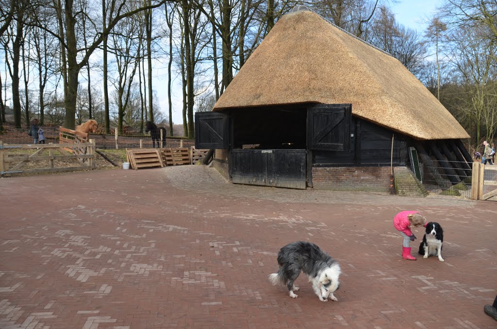 The new reed roof covered sheep stable with sheep dogs at Rheden, Реден