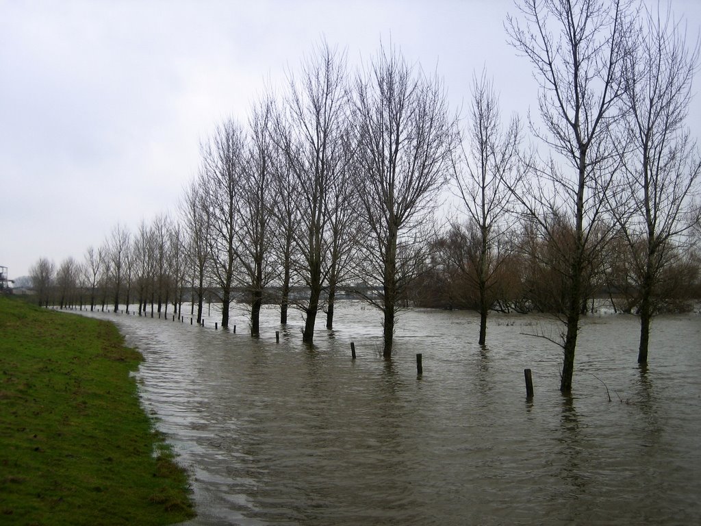 Maas bij Venlo, hoog water 10-12-2007, Венло