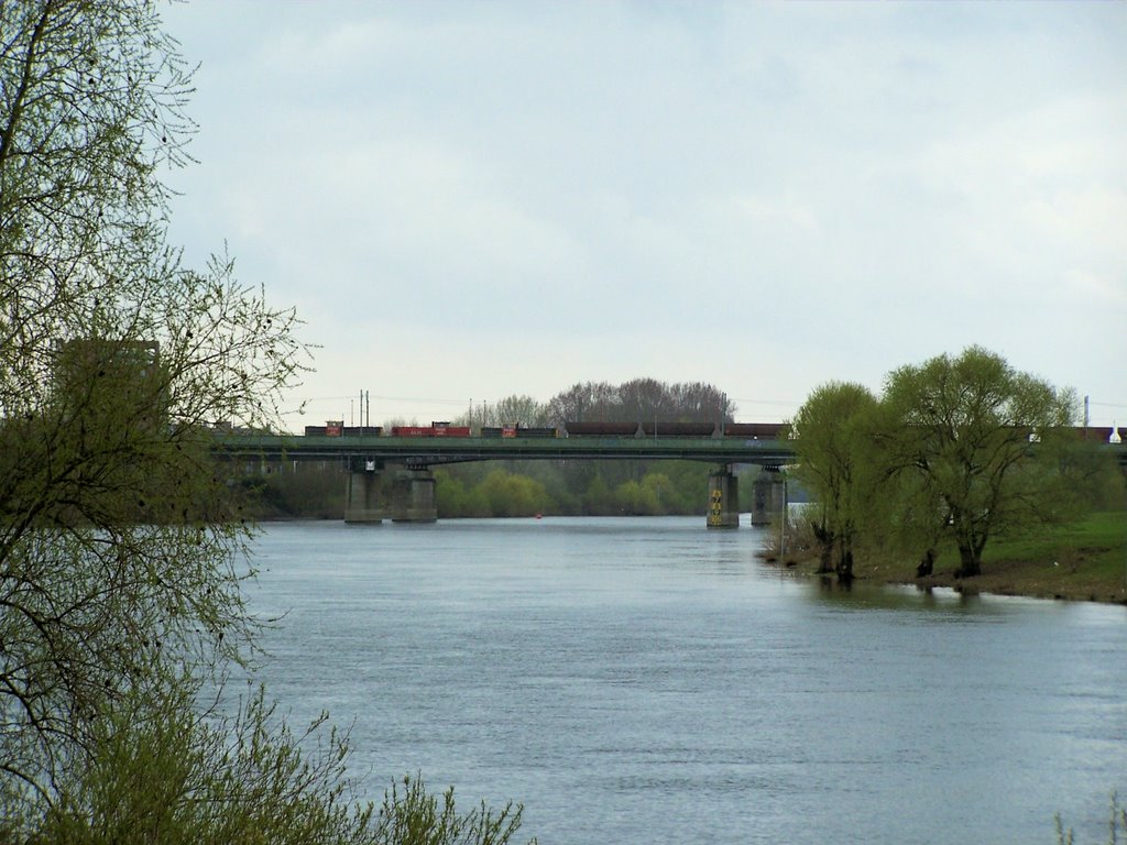 Venlo - Maasbrug, Венло