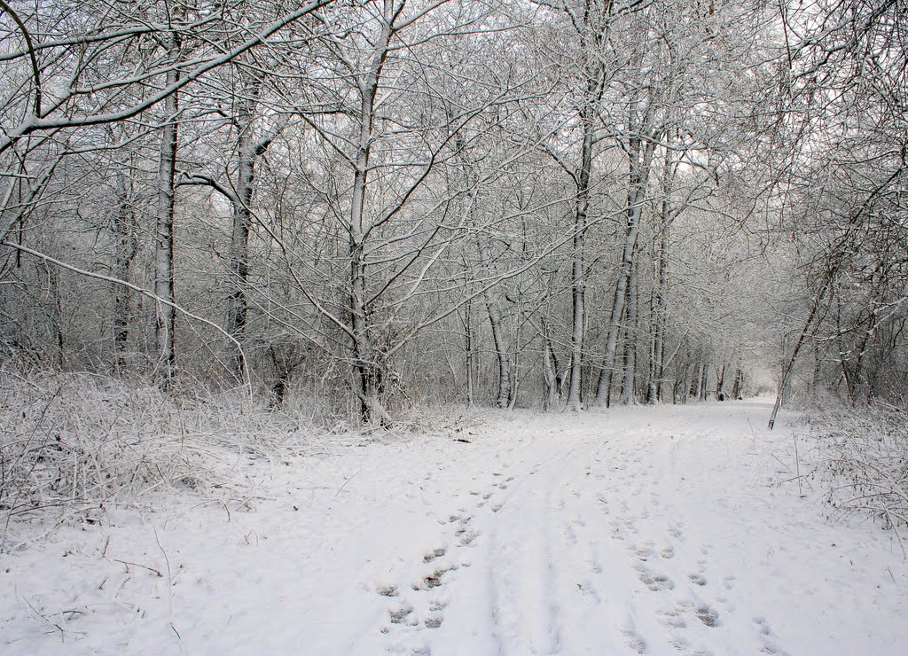 Winter in Horn, Керкрад