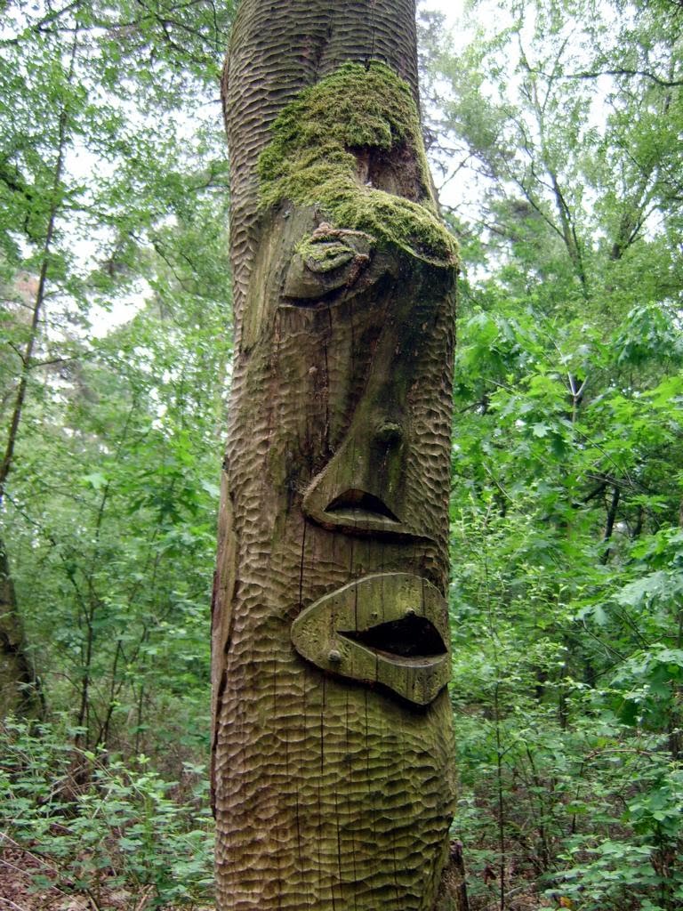 Baum mit Gesicht, Керкрад