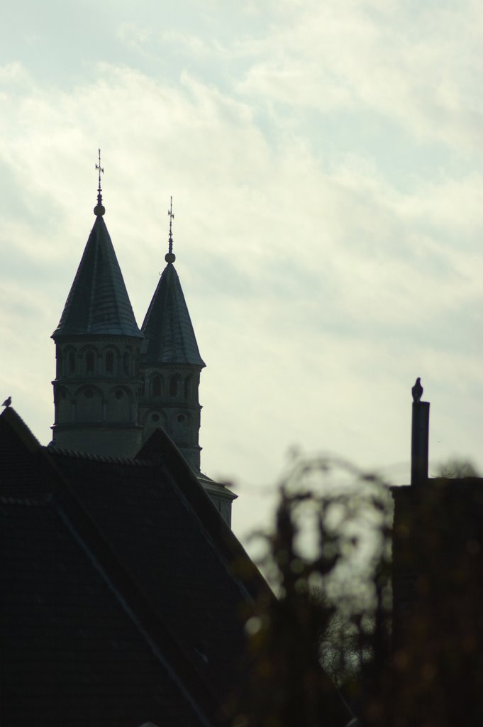 Maastricht. Basilica "Onze Lieve Vrouwe" and pigeon on chimney., Маастрихт