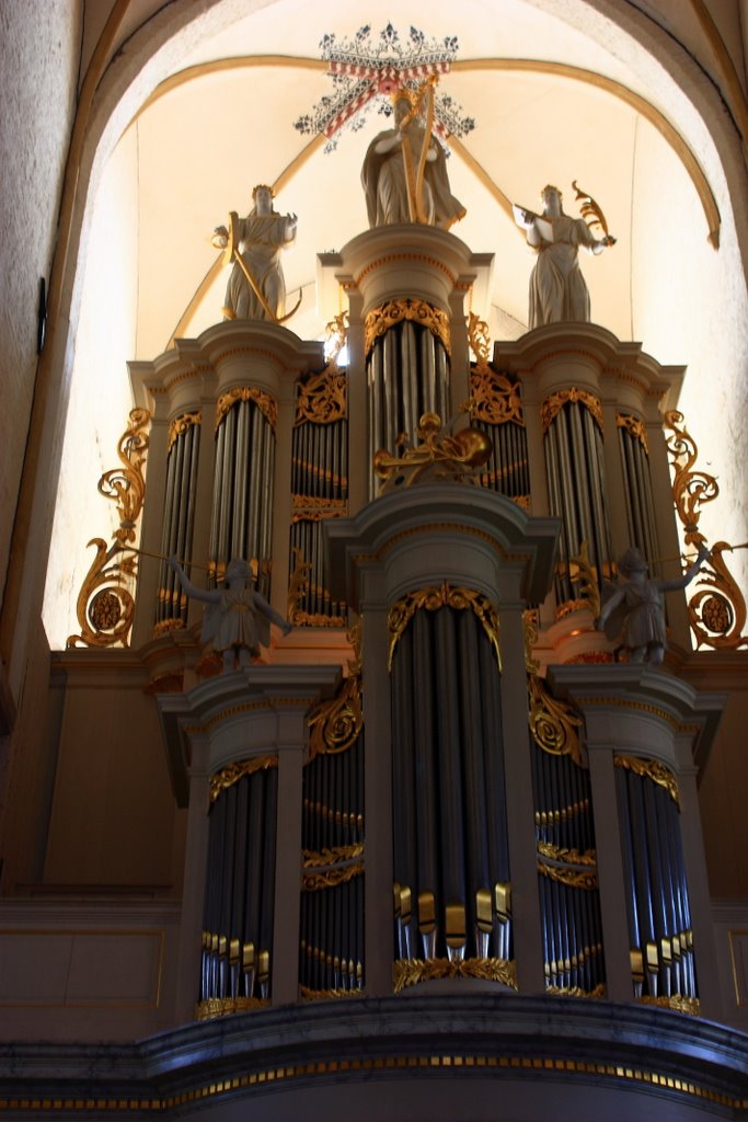 orgel Bergkerk Deventer, Девентер