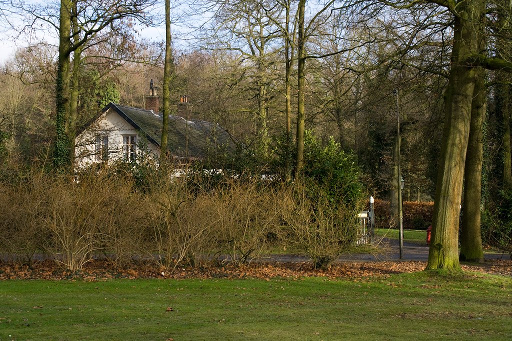 Park in Hengelo, Хенгело