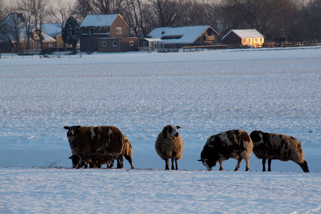 winter landscape Noordbeemster. Netherlands, Алькмаар