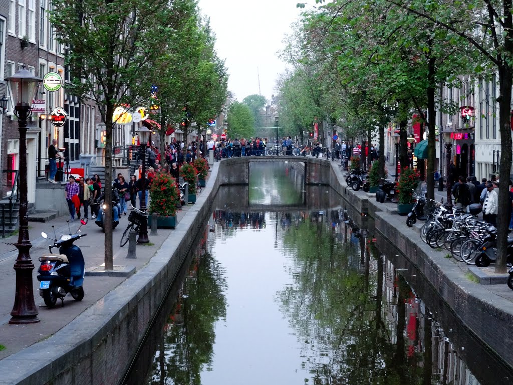 Cada rincón un canal, un deleite. ---Every corner a channel, a delight, Амстердам