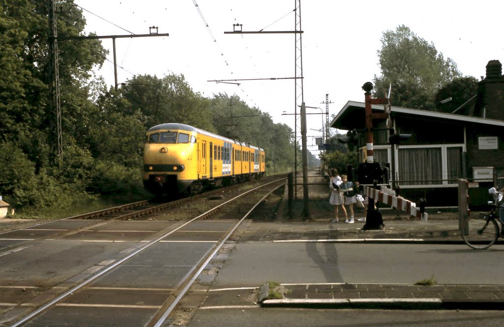 Trein langs station (juni 1983), Велсен