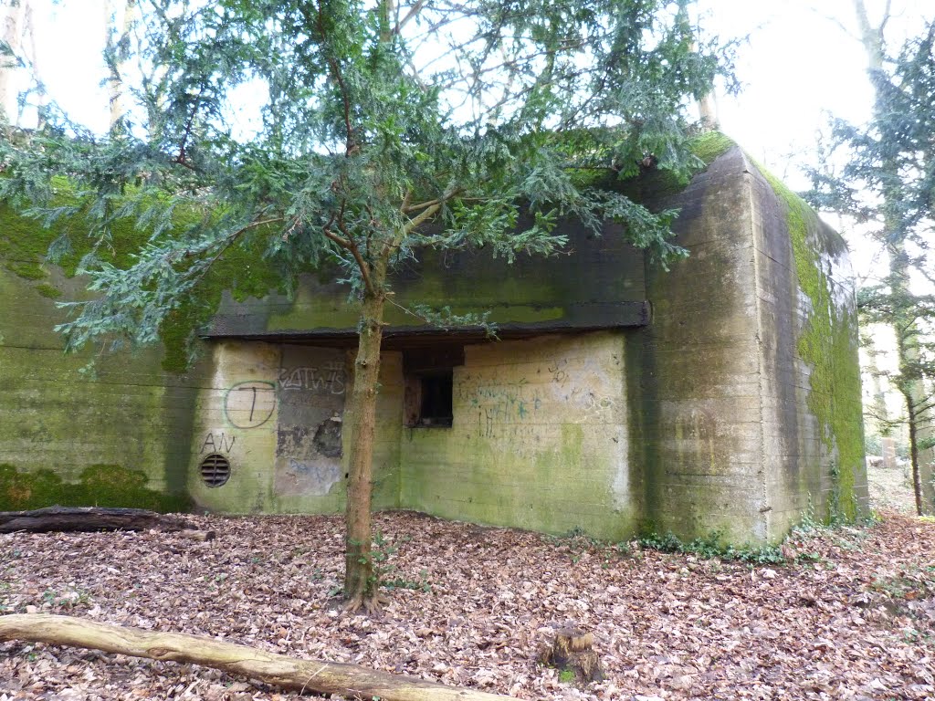 Festung IJmuiden - W.N 109   Festung Hauptquartier R117(2) bunker - eingang, Велсен
