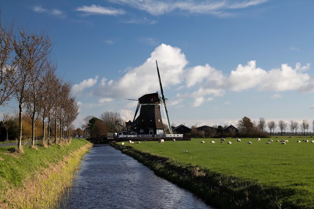 molen (mill) "de Nachtegaal" Hobrederweg 4, Middenbeemster, Netherlands, Хаарлем