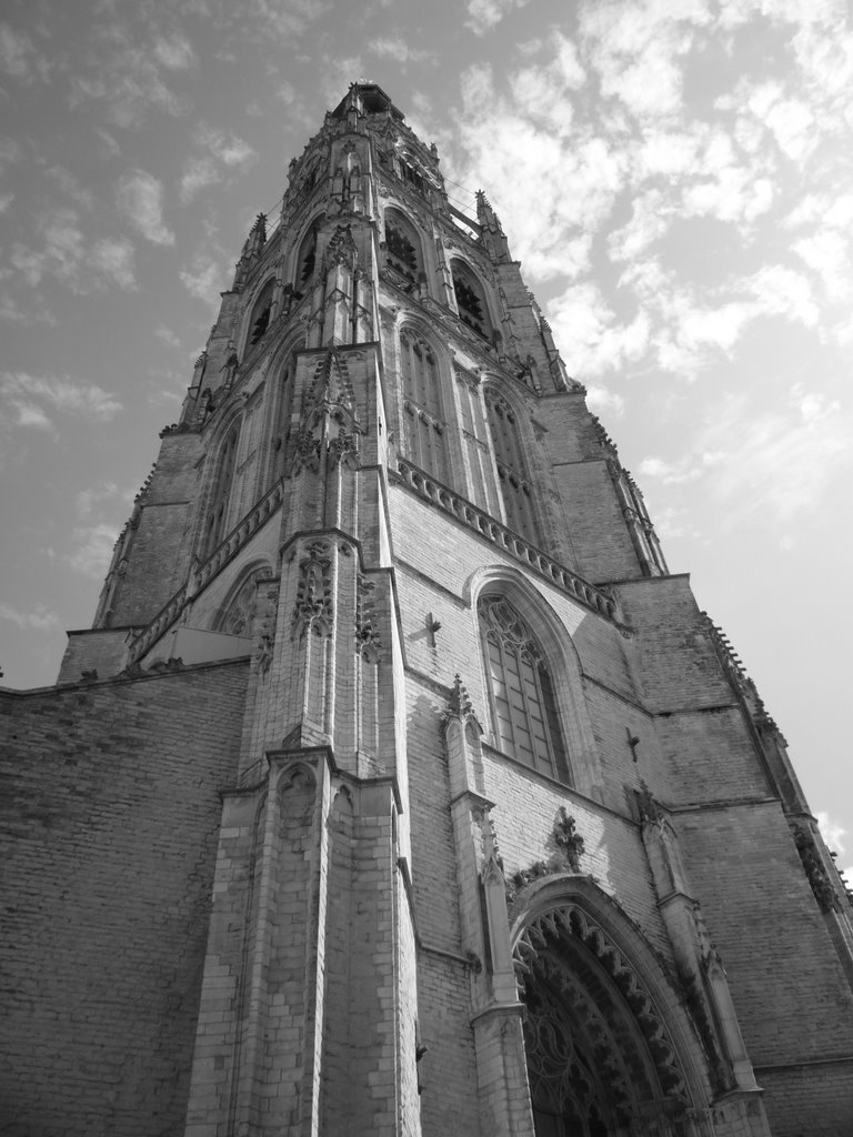 Grote Kerk - Breda - Holland - Holanda - Netherlands, Бреда