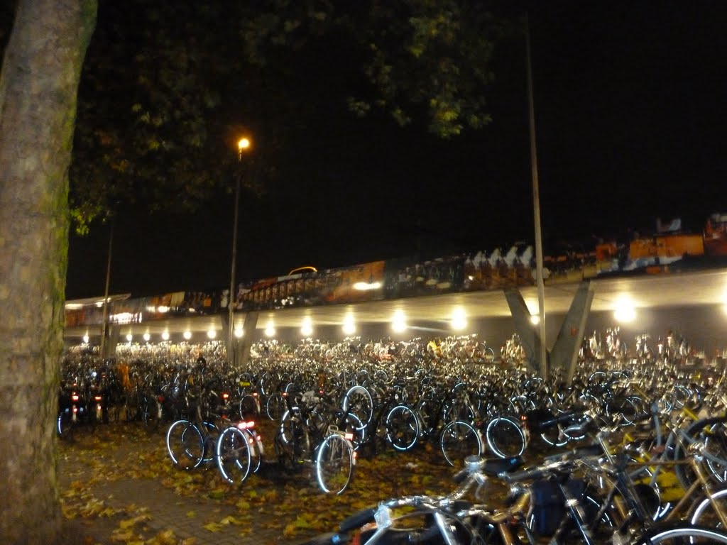 HOLLAND, Tilburg: bikes near railwaystation, Тилбург