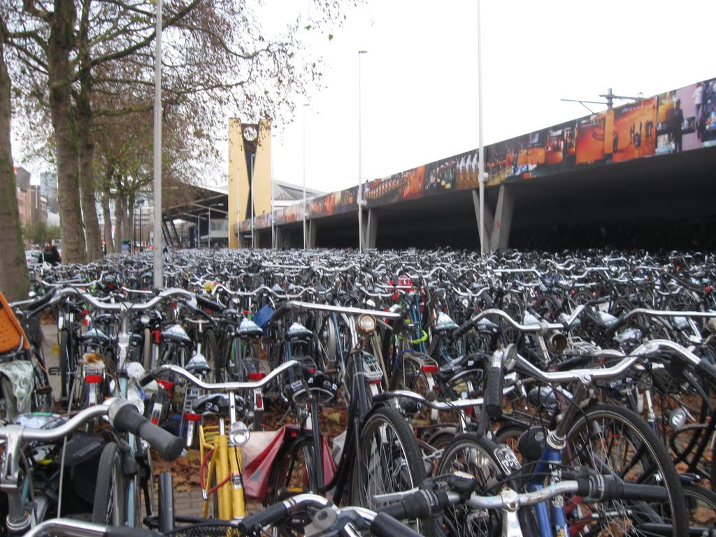 "Bicycle forest" outdoor public bicycle parking near railwaystation, Tilburg, The Netherlands ( Title inspired by Dr. Azzouqa ), Тилбург