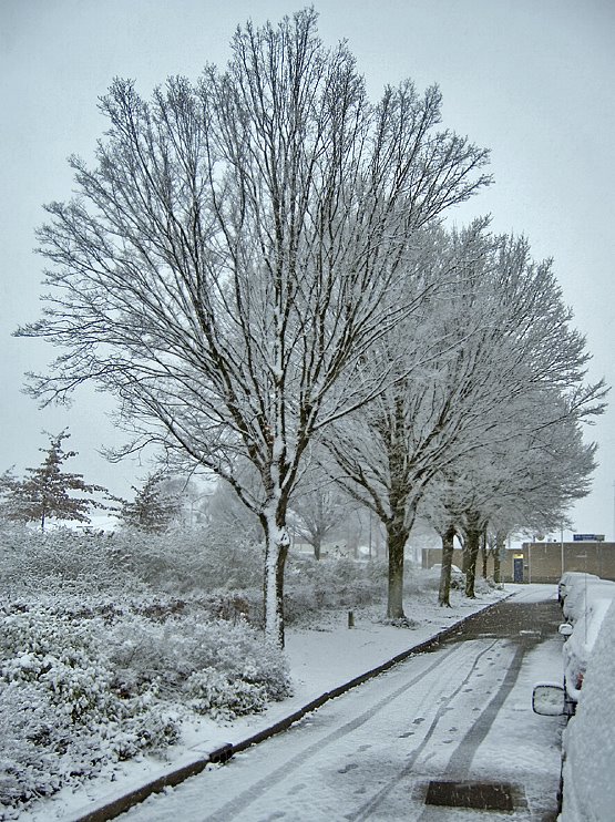 First snow falling at the Akkerstraat, Helmond, Хелмонд