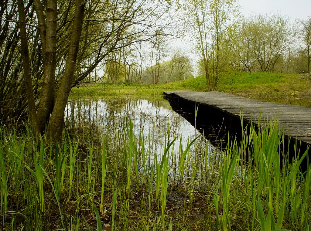 De loopbrug bij de grote vijver van Natuurtuin "De Robbert", De Kemenadelaan, Helmond., Хелмонд