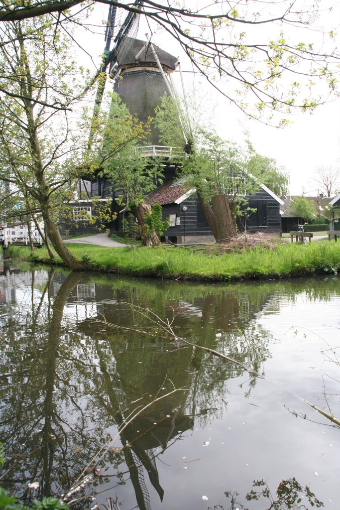 Windmill `De Ster` reflected in spring; Utrecht, Амерсфоорт