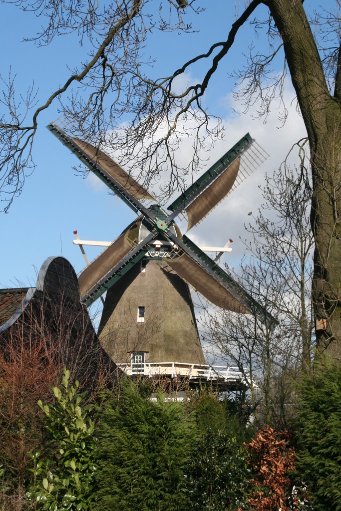 Windmill `De Ster` (`The Star`) with windblankets; Utrecht, Амерсфоорт