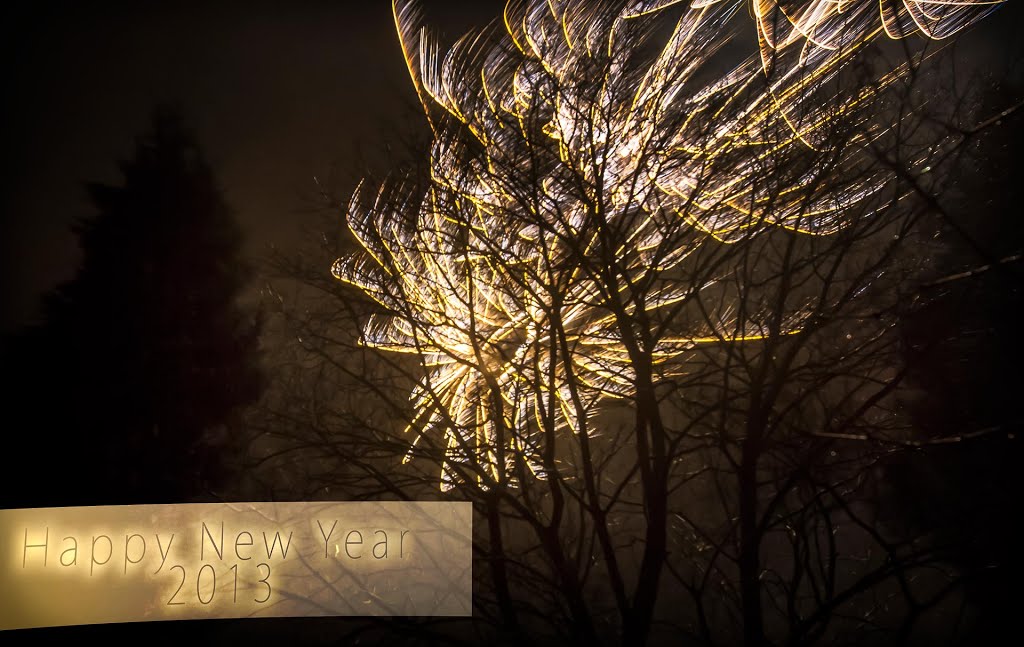 Happy New Year 2013, Зейст
