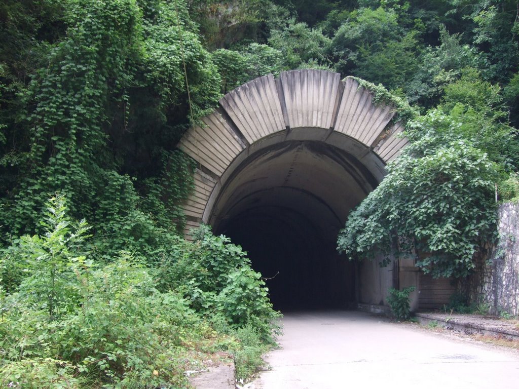 Гагрский тоннель, Гагра