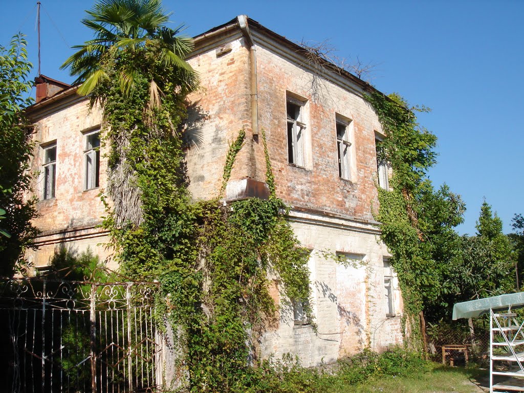 The ruins, Гудаута