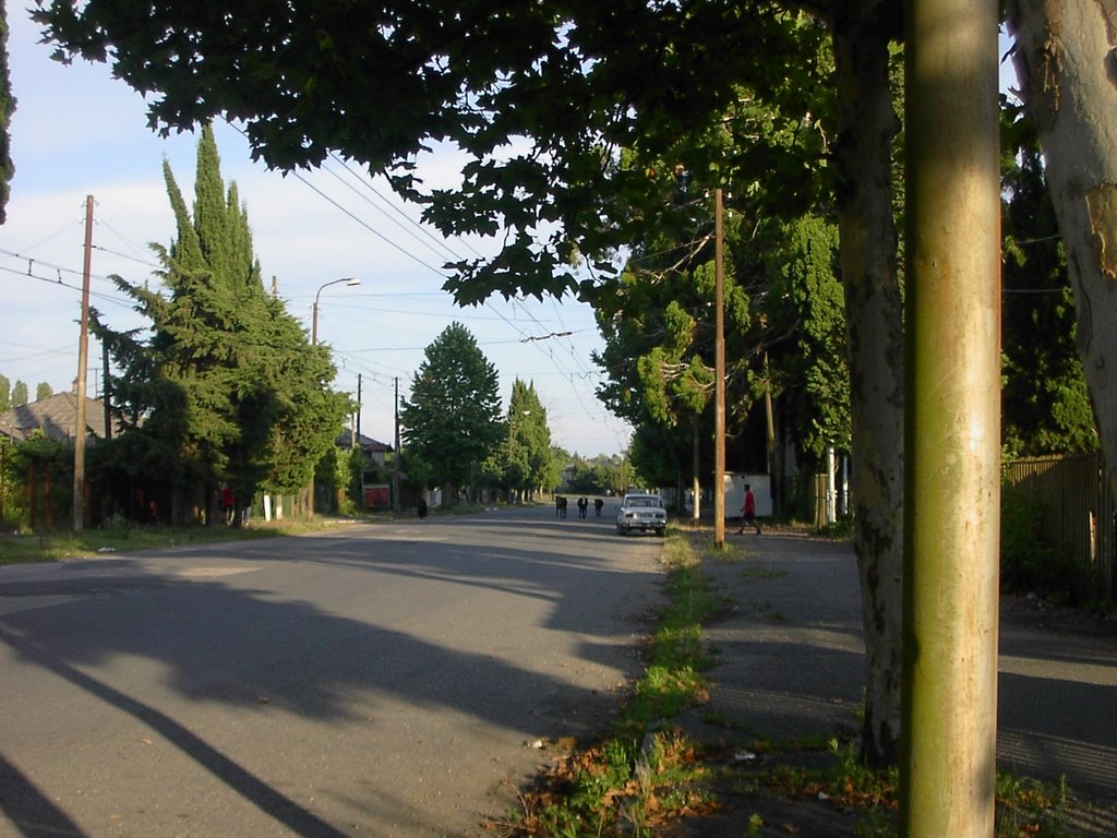 Бзыбское шоссе в сторону центра, Очамчиров