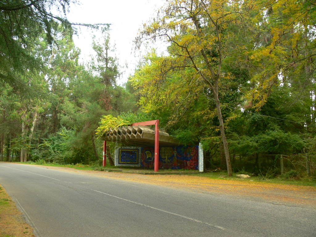 Автобусная остановка на улице Гочуа, Пицунда, Пицунда
