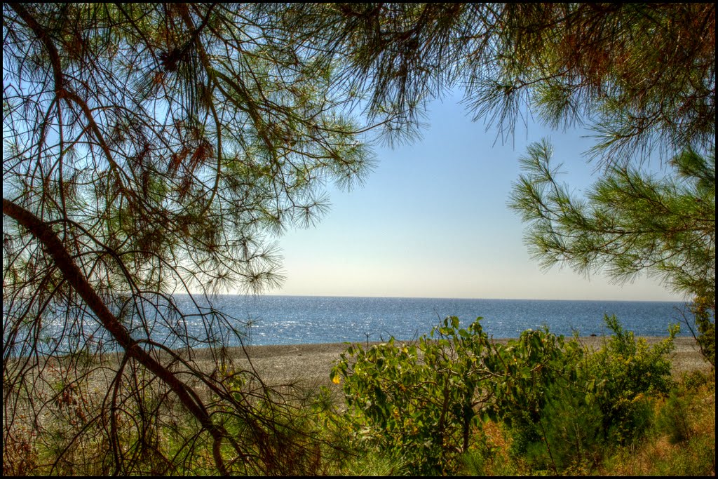 Green window overlooking the blue sea., Пицунда