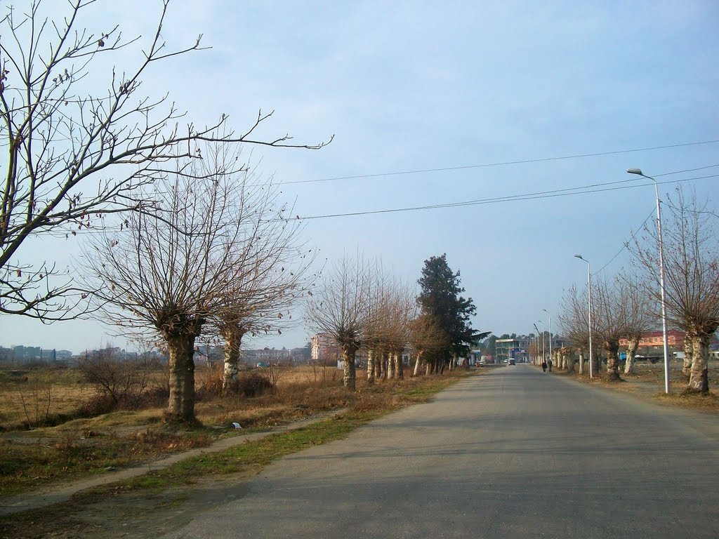 Entering Kobuleti from east, Кобулети