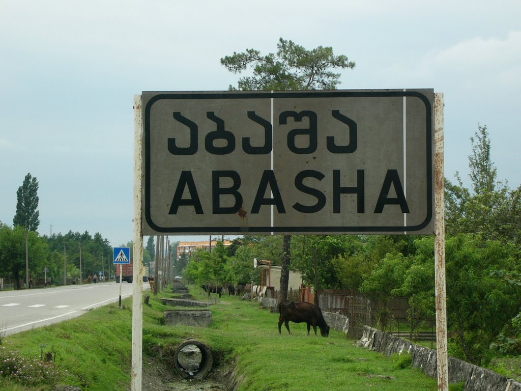 Abasha Sign, Абаша
