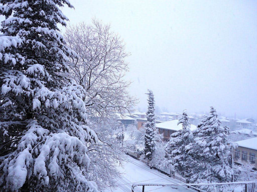 Snowy Abasha, Абаша