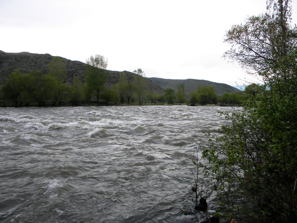 Mtkvari (Kura) River near Aspindza town, Georgia, April 2010, Аспиндза