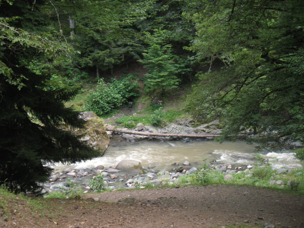 River Borzhomula, Боржоми