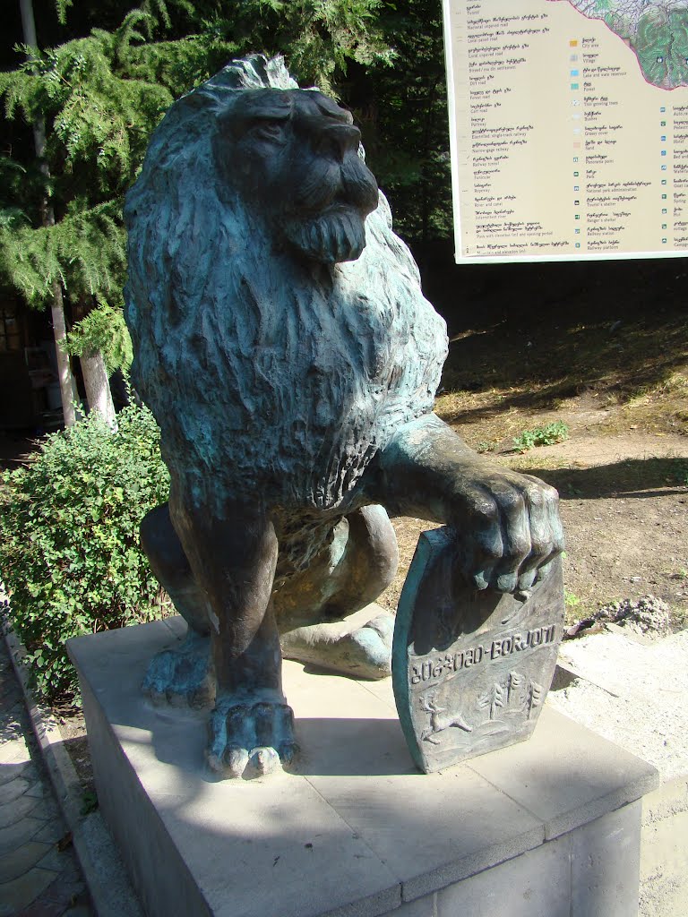 Borjomi Lion, Боржоми