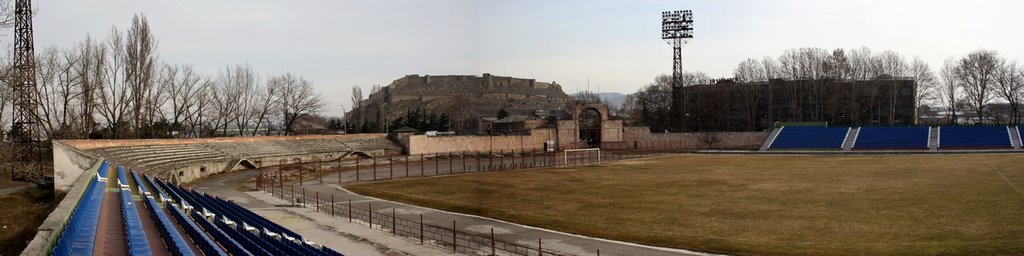 Gori stadium, Гори