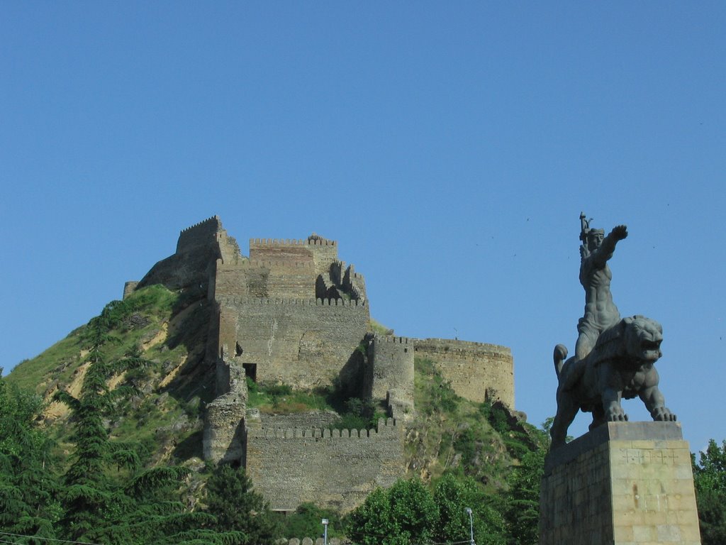 Gori fortress and castle, Гори