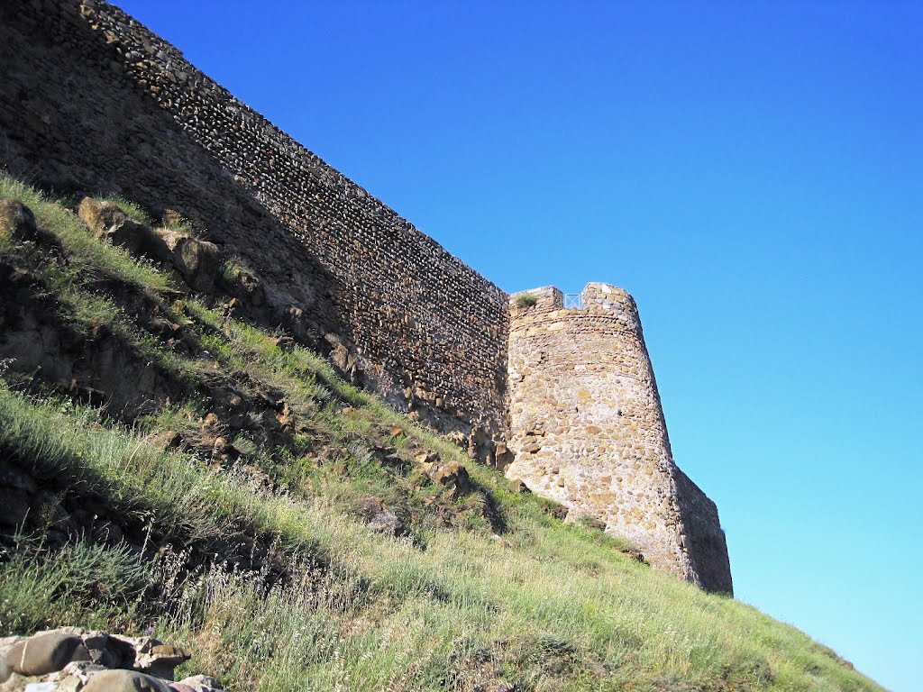 Fortress of Gori, Гори