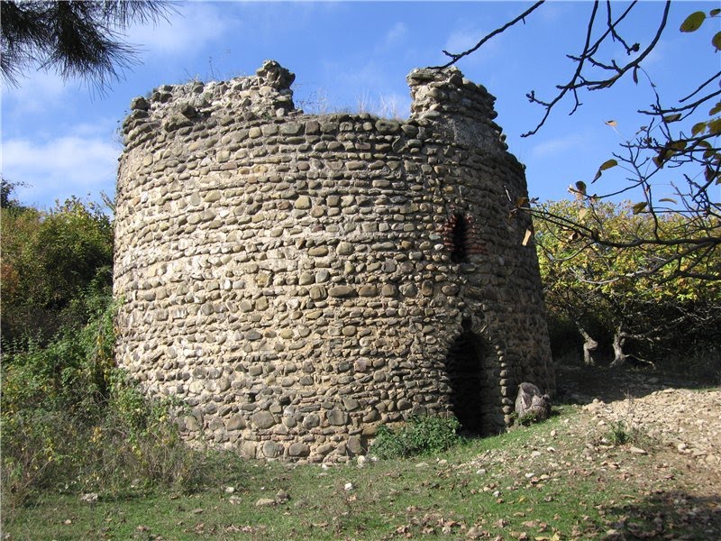 Tower house in village kolagia Gurjaani, Гурджаани