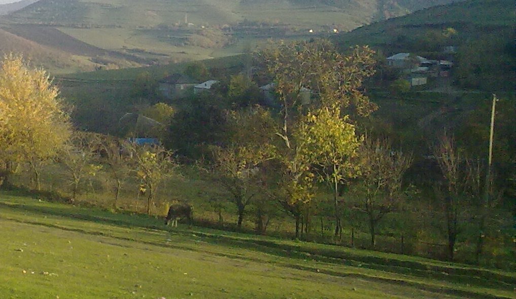 İcri Qaraçöp kəndi, Дманиси