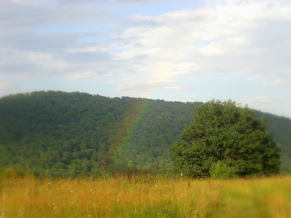 rainbow, Дманиси