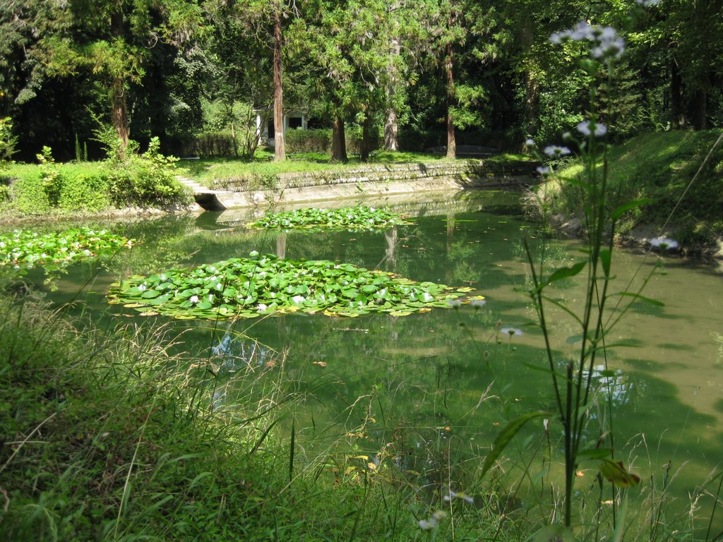 botanical gardens, Зугдиди