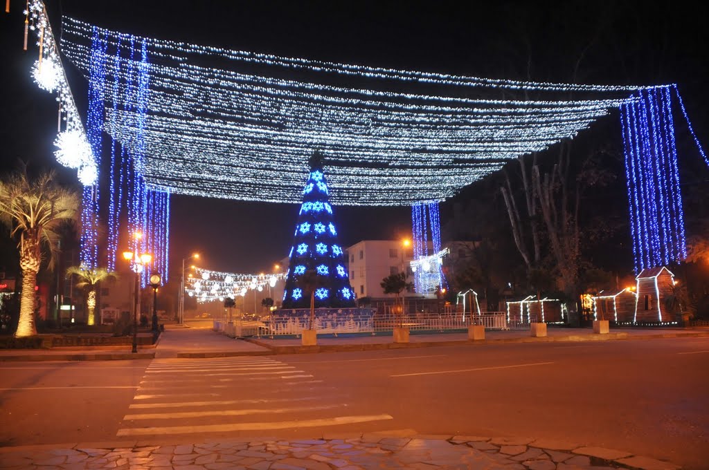 Zugdidi-2011, Зугдиди