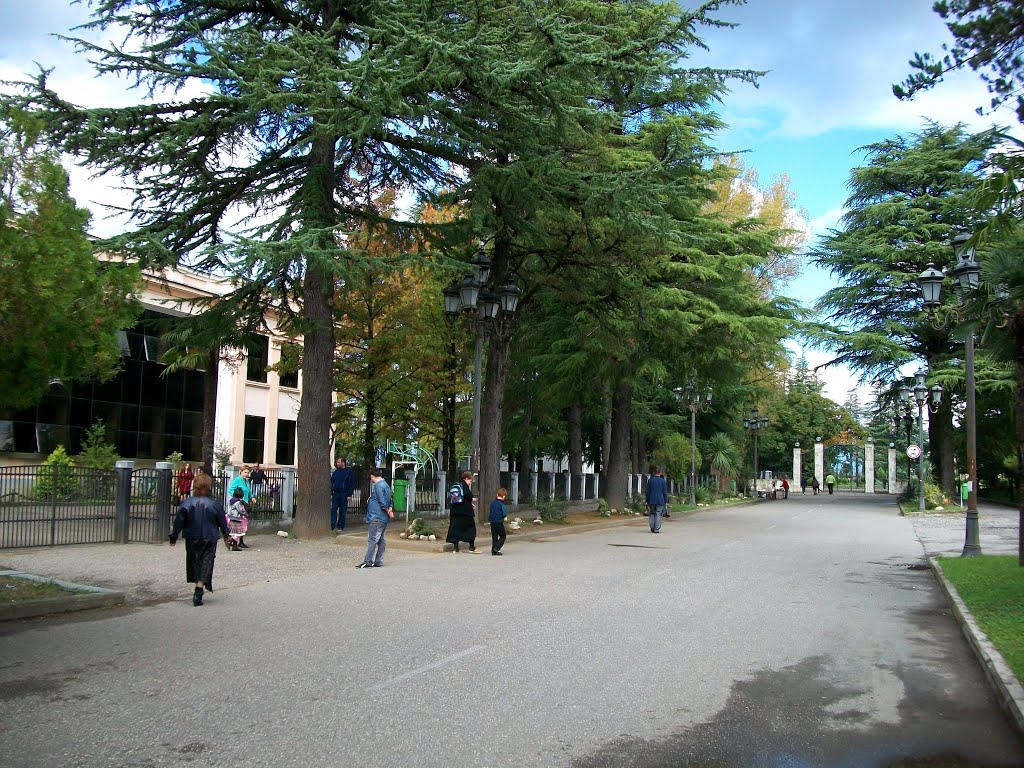 Gamsakhurdia street in Zugdidi, Зугдиди