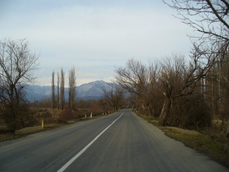 On the road to Kvareli, Карели