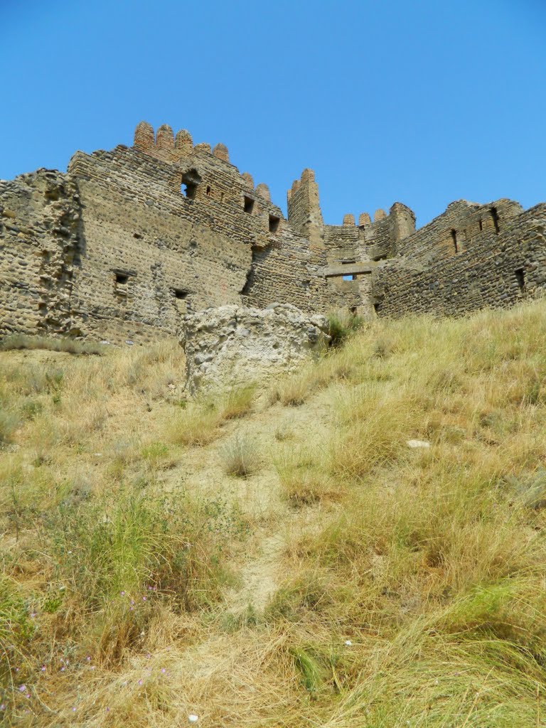Руины крепости Ксани, Каспи