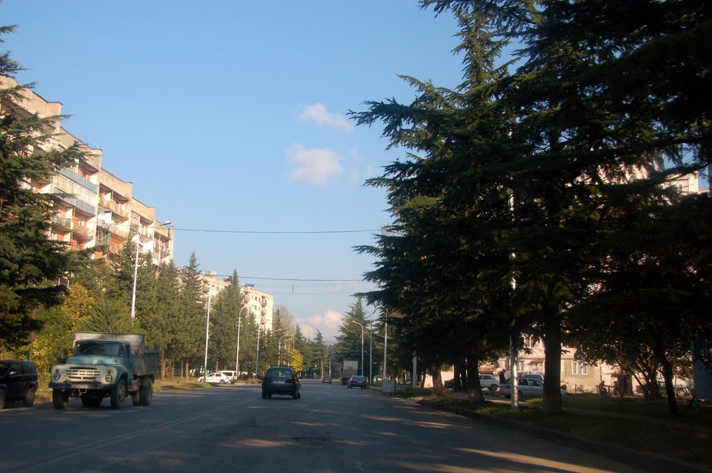 Abashidze street, 2011, Кваиси