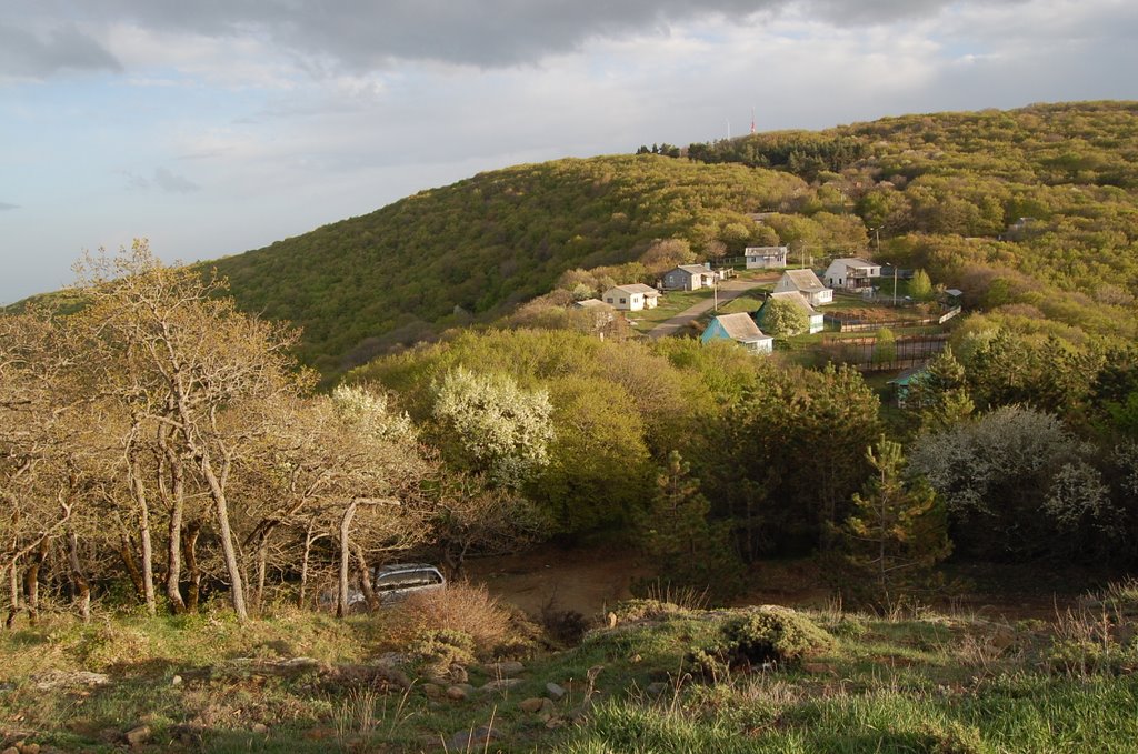Georgian small village, Коджори