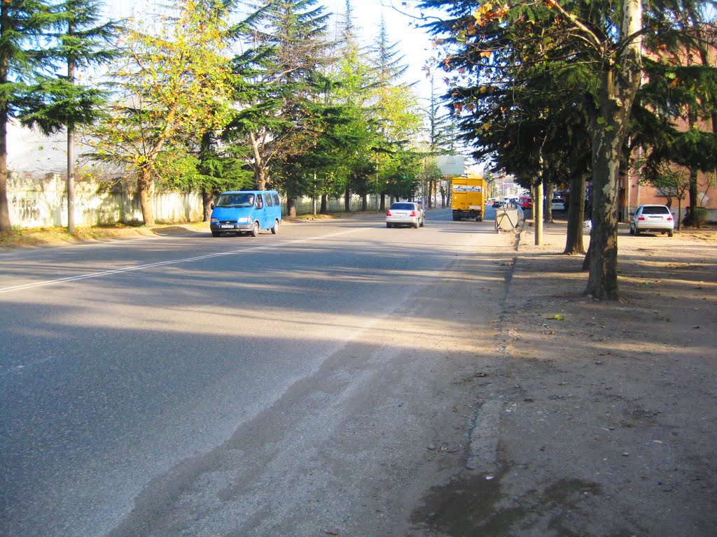 chavchavadze str, Кутаиси